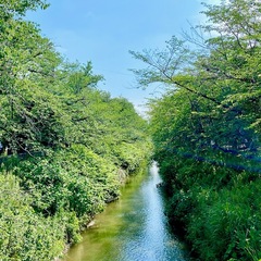 雨続き、、、　だけど、