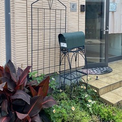 カンナ