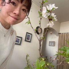 みずみずしく生きたい
