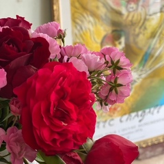 花の癒し