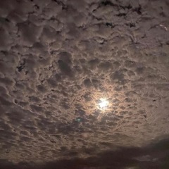 秋の夜空