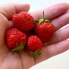 いちごの香り