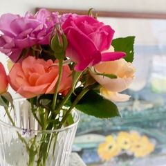 薔薇ざかり