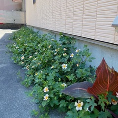 季節の楽しみ