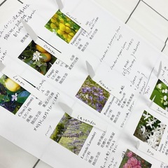 嬉しかったこと