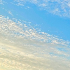 日曜日の夕方の匂い