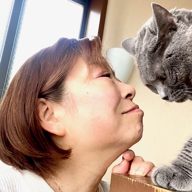 隙間の癒しのイメージ