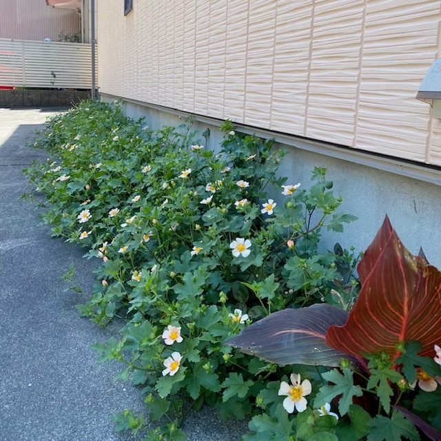 季節の楽しみのイメージ
